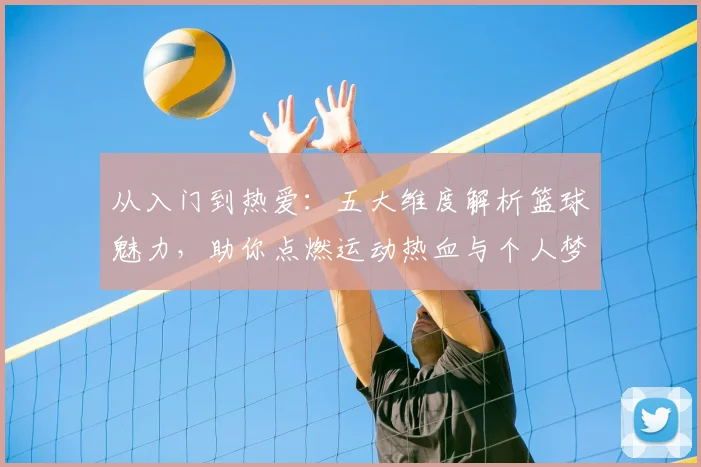 从入门到热爱:五大维度解析篮球魅力,助你点燃运动热血与个人梦想